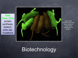 Biotechnology Glow Genes
