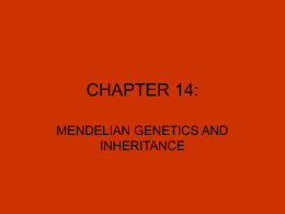File - Chapter 14: Mendel and the Gene idea