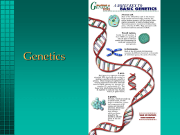 genetics_4