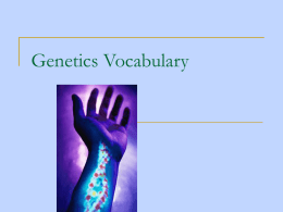 genetic vocab