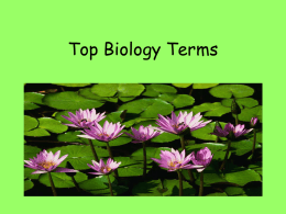 EOC_Biology_Top_
