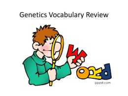 Genetics Vocabulary Review2