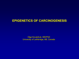 epigenetics of carcinogenesis