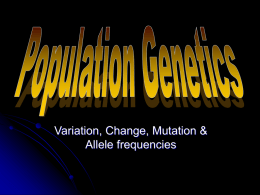 Ch. 13 Population Genetics
