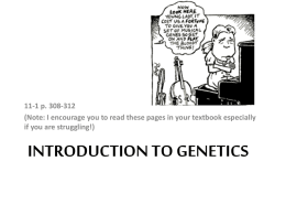 Intro to Genetics PowerPoint - E