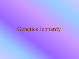 Genetics Jeopardy