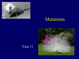 Mutations - year13bio