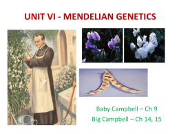 unit v – mendelian genetics