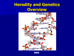What is Heredity?