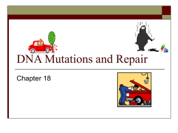 Mechanisms and Analysis of DNA Mutations