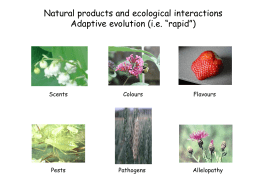 Natural products and ecological interactions Adaptive evolution (i.e. “rapid”) Scents Colours