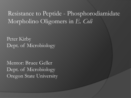 Resistance to Peptide - Phosphorodiamidate E. Coli Peter Kirby Dept. of  Microbiology