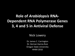 Arabidopsis Dependent RNA Polymerase Genes 3, 4 and 5 in Antiviral Defense
