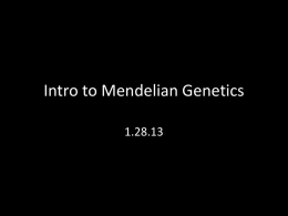 100975_Mendelian_Genetics_1.pptx