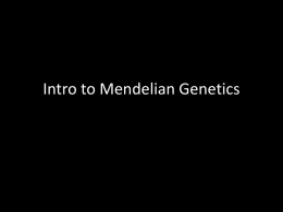 113842_Mendelian_Genetics_1.pptx