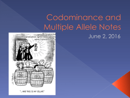 Codominance and Mult alleles