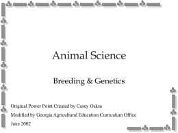 Animal Genetics