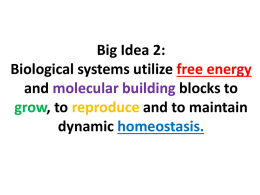 Big Idea 2: Biological systems utilize free energy and molecular
