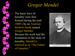 PowerPoint Presentation - Gregor Mendel