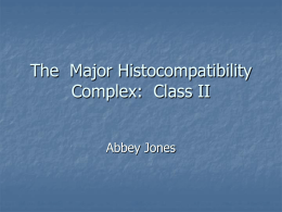 The Major Histocompatibility Complex: Class II