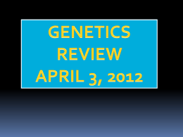 GENETICS REVIEWAPRIL3x