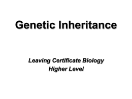 Genetic Inheritance - leavingcertbiology.net