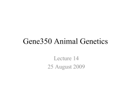 14. Gene350 Animal Genetics 25 August 2009