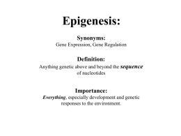 HGSS2 Epigenesis