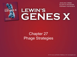 Chapter 27 Phage Strategies