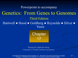 Gene Regulation in Prokaryotes - McGraw