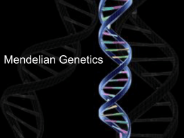Mendelian_Genetics_Notes_2013