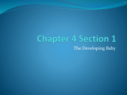 Chapter 4.1 PPT
