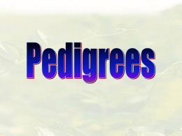 Pedigrees - Lamont High