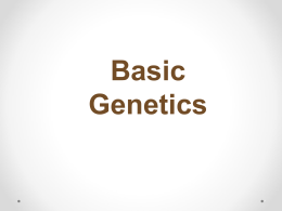 Basic Genetics