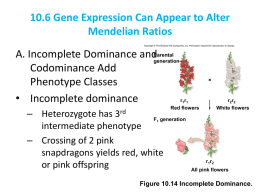 10.6 Gene Expression Can Appear to Alter - OCC
