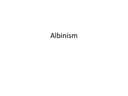 Albinism - shsbiogeneticdisorders