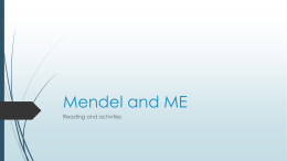 mendel and mex