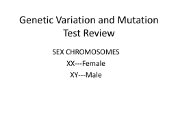 Genetic Variation and Mutation Test Review