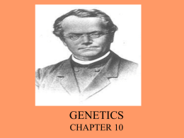 GENETICS CHAPTER 10
