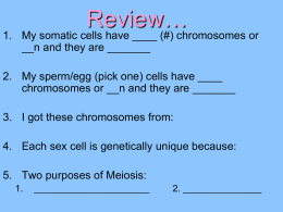 this PowerPoint show of Mendelian Genetics