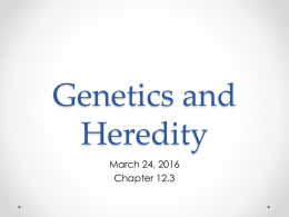 3-24-16 Genetics and Heredity 12.3