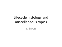 Lifecycle histology - U
