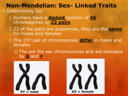 Day 5 Sex Link Traits PPT