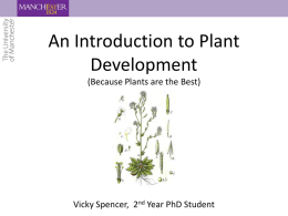 Plant Development presentation