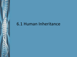 6.1 Human Inheritance