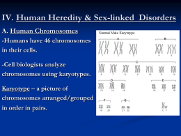 Human Heredity and Sex