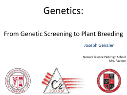 Genetics:From Genetic Screening to Plant Breeding