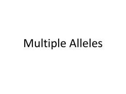 Multiple Alleles