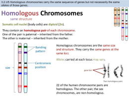 sex chromosomes - cloudfront.net