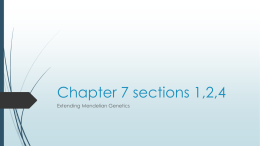 Chapter 7 sections 1,2,4